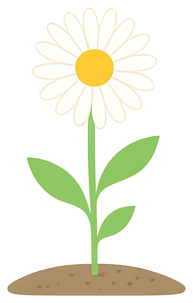白いデイジーの花